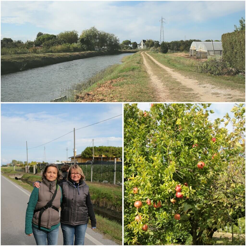 photogrid_1476096884731