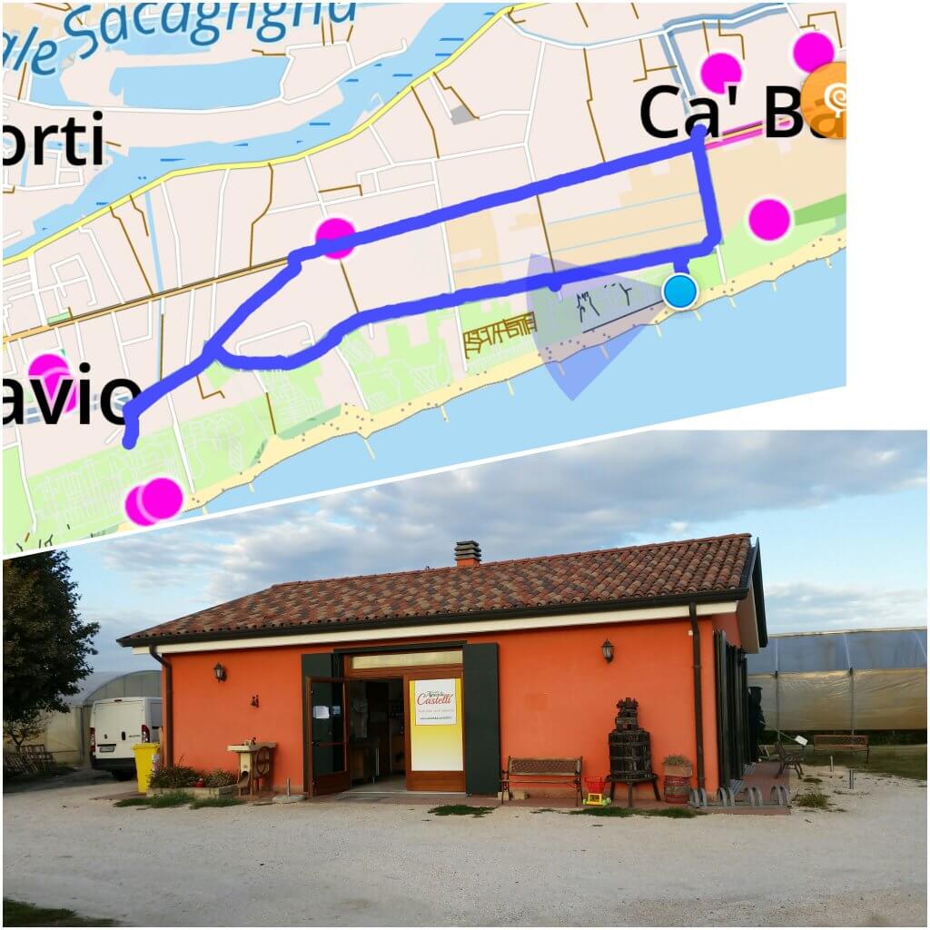 photogrid_1476115413906