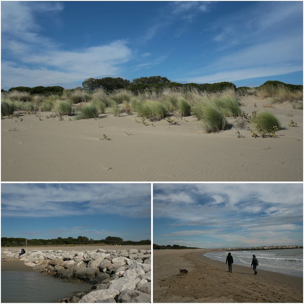 photogrid_1476198364716