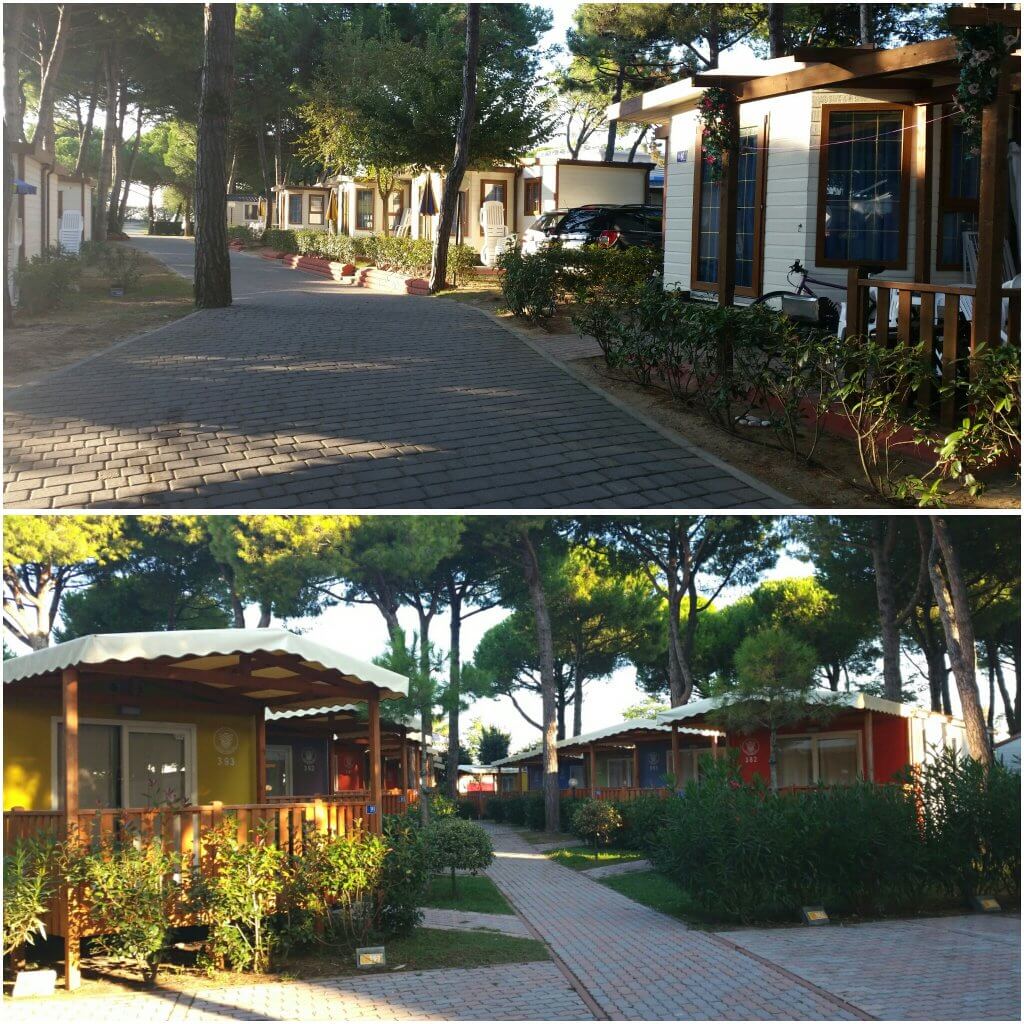 photogrid_1476257001667