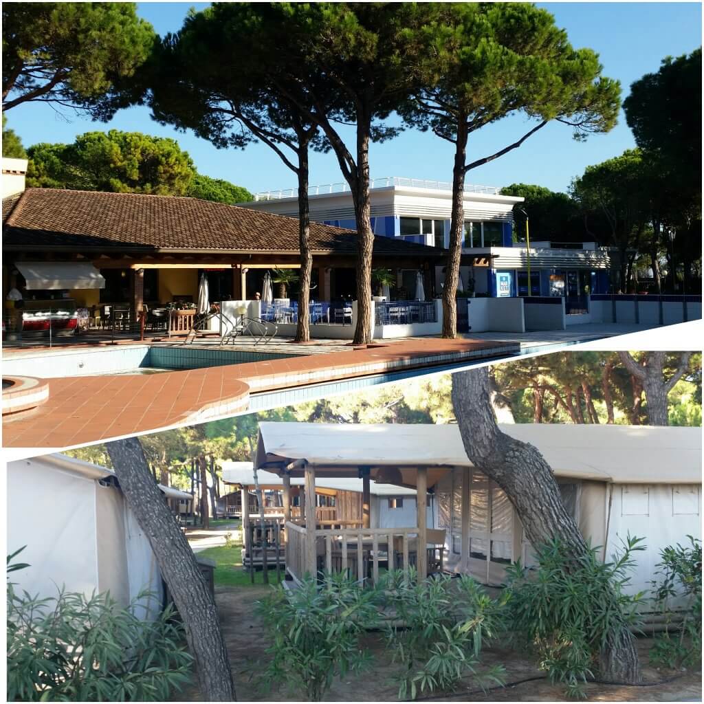 photogrid_1476280631661