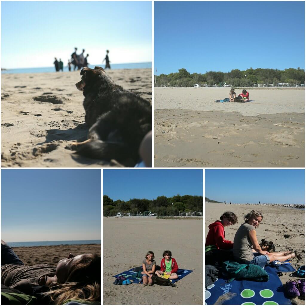 photogrid_1476280928668