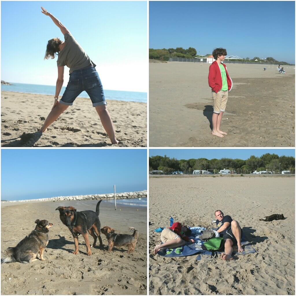 photogrid_1476281018669