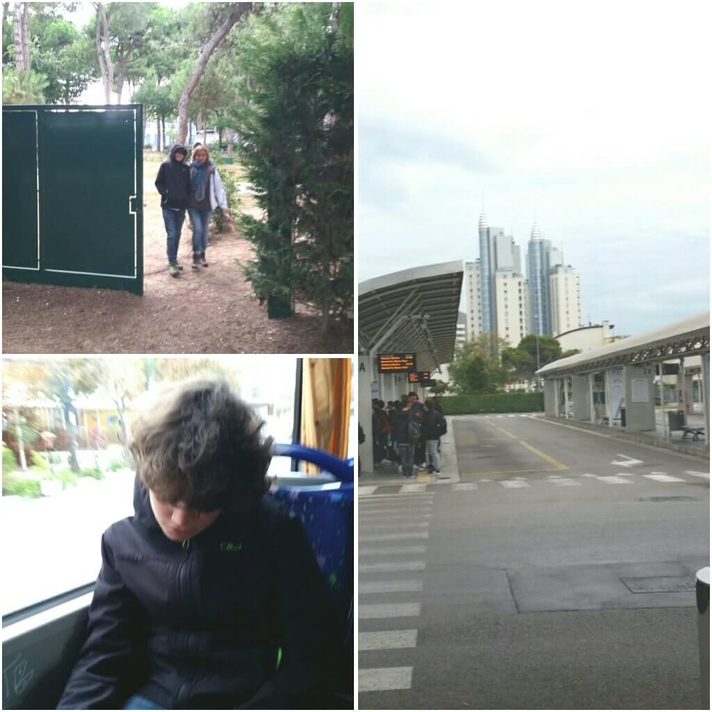 photogrid_1476363550707