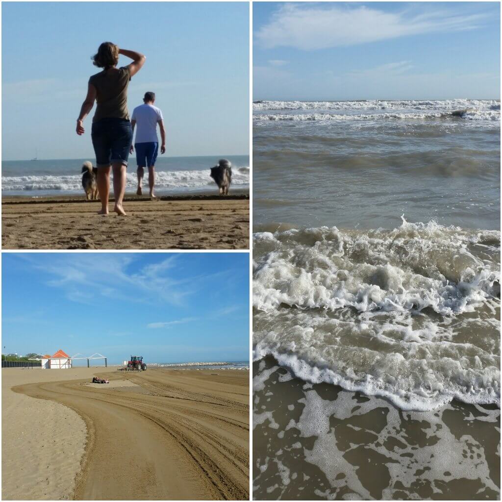 photogrid_1476549670608