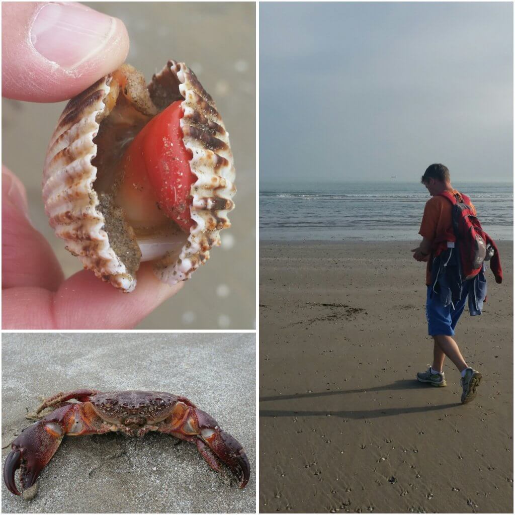 photogrid_1476633031207