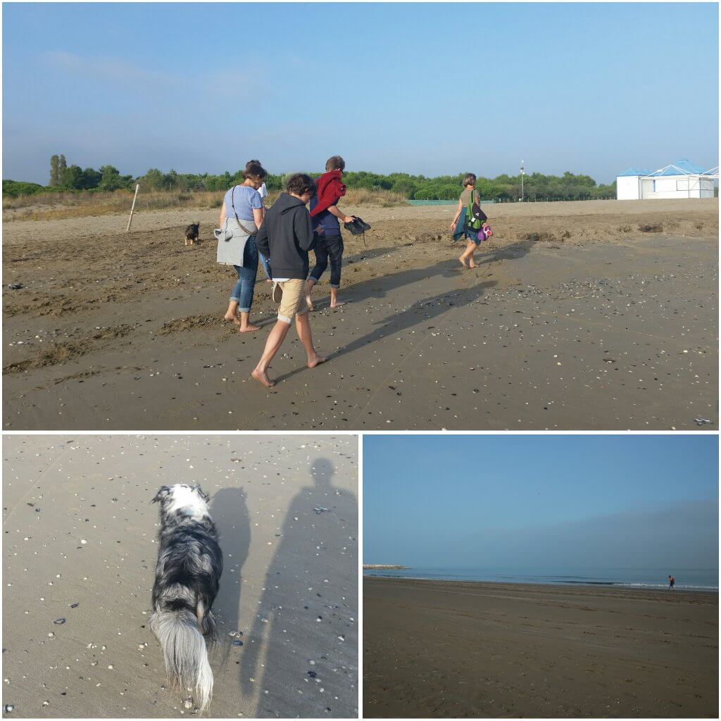 photogrid_1476633083236