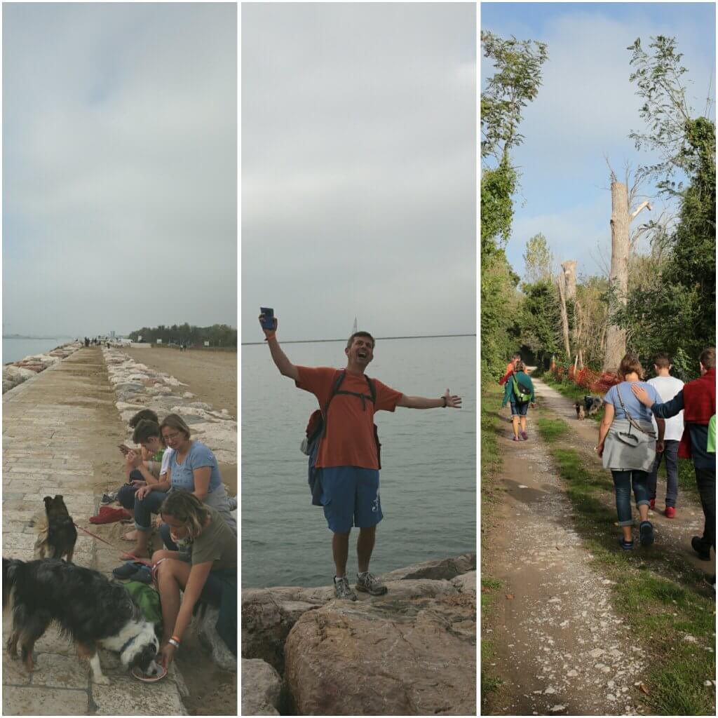 photogrid_1476633173081