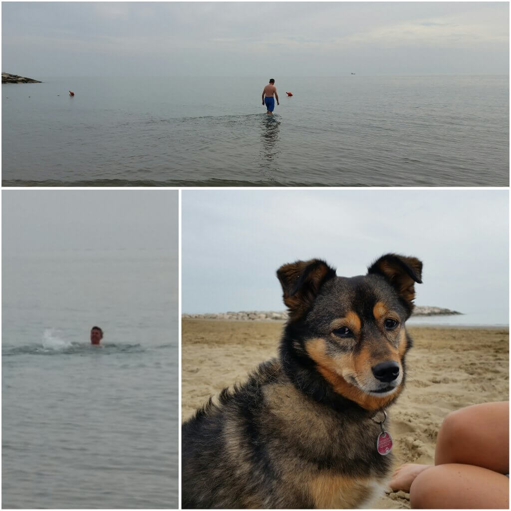 photogrid_1476715280192