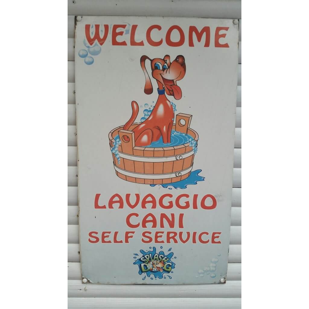 photogrid_1476716042594