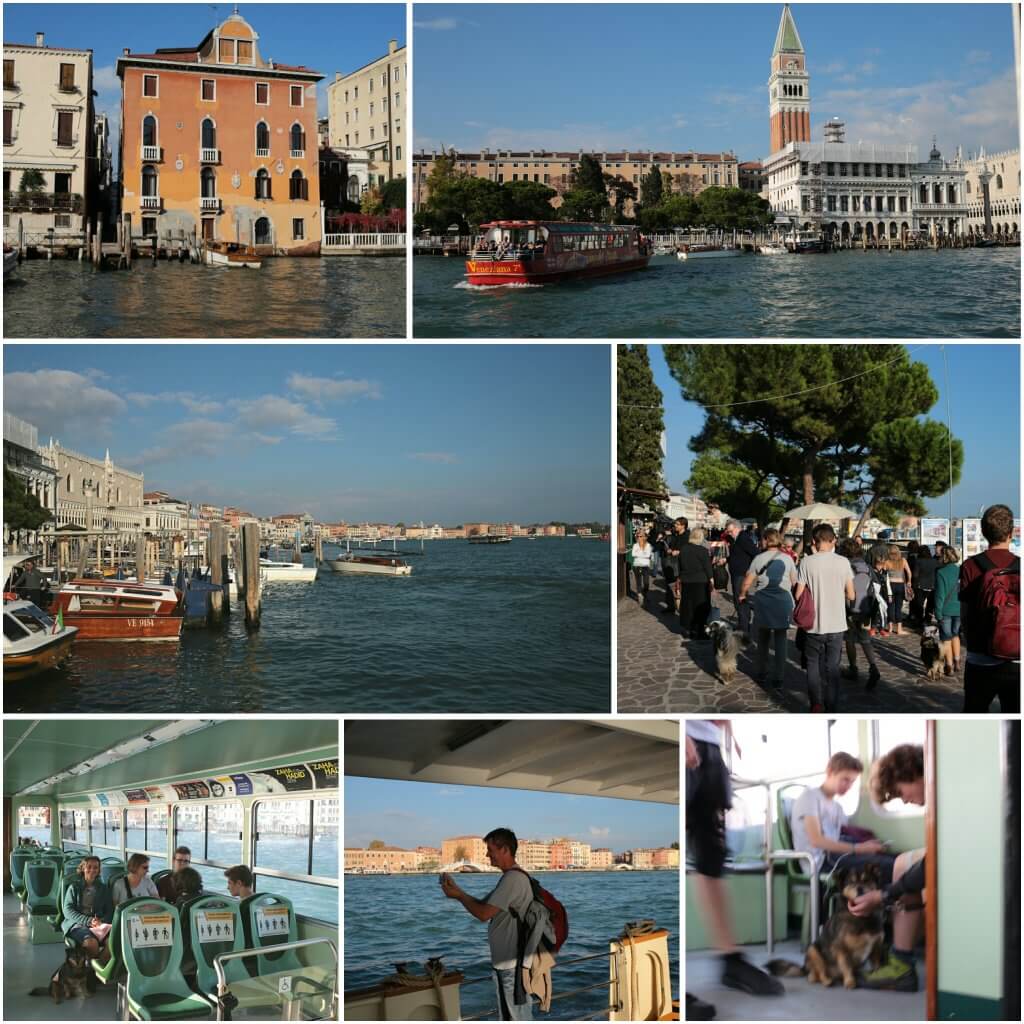 photogrid_1476861878305