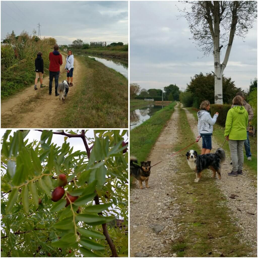 photogrid_1476894574721