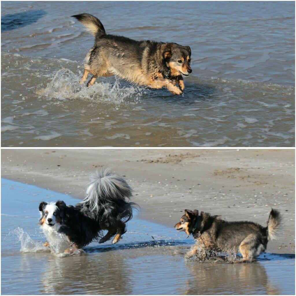 photogrid_1477157747243